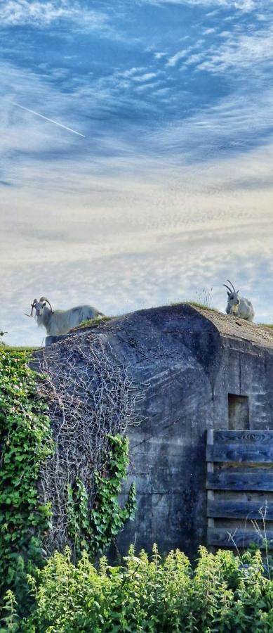 Vakantiehuis De Bunker Julianadorp Bagian luar foto