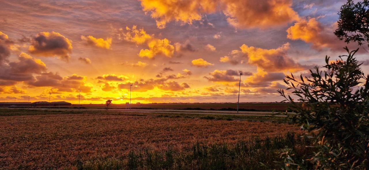 Vakantiehuis De Bunker Julianadorp Bagian luar foto